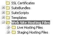 Web Site Hosting Files in NetSuite File Cabinet
